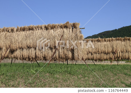 Rice rack Rice rack 116764449