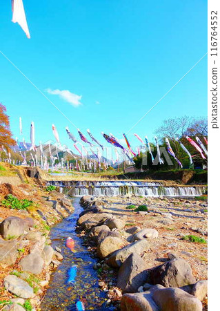 Carp streamer, carp streamer, carp banner, Takase River, Yamagata City 116764552