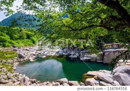 木曾睡眠床 116764558