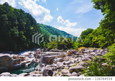 木曾睡眠床 116764559