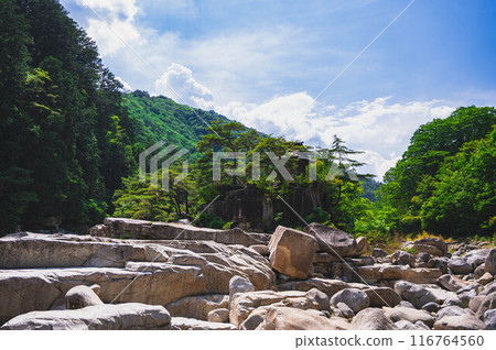 木曾睡眠床 116764560