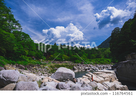 木曾睡眠床 116764561