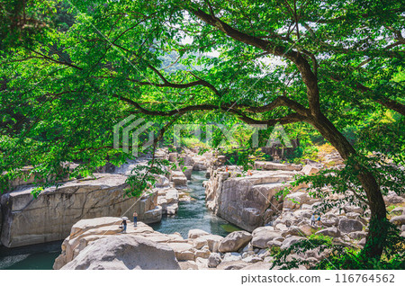 木曾睡眠床 116764562