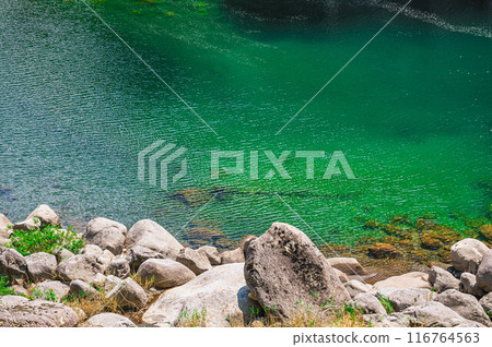 睡眠地板，翠綠水面 116764563