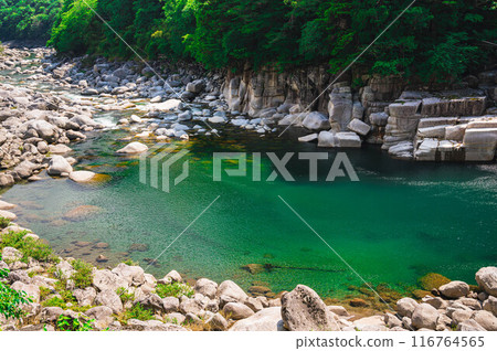 木曾路的木曾子 木曾路的木曾子 116764565