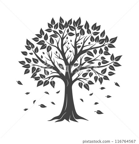 Silhouette of an autumn tree with falling leaves on a white background. Black and white illustration, sketch, design element Silhouette of an autumn tree with falling leaves on a white background. Black and white illustration, sketch, design element 116764567