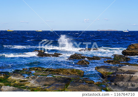 Kannonzaki in winter with rough waves (Yokosuka, Kanagawa Prefecture) 116764710