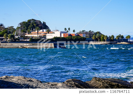 Kannonzaki in winter with rough waves (Yokosuka, Kanagawa Prefecture) 116764711