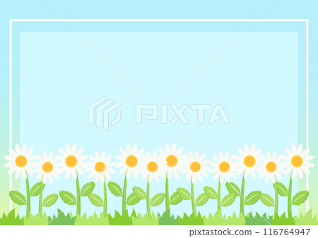 little daisy frame 2 116764947