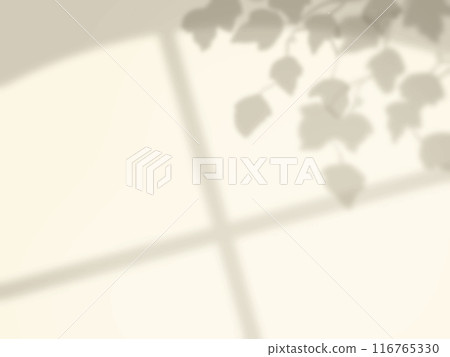 牆上反射的植物葉子和窗戶陰影的背景 116765330