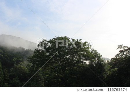 群馬縣藤岡市山林雨季的晴天 116765574
