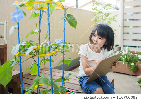 Elementary school students observing morning glories during summer vacation Elementary school students observing morning glories during summer vacation 116766082