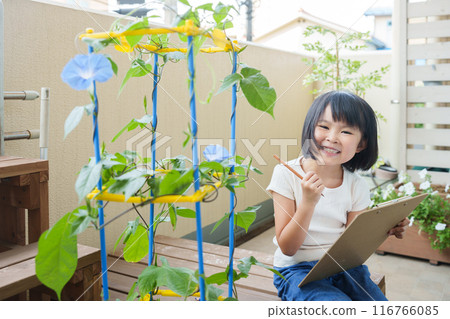 小學生暑假觀察牽牛花 116766085