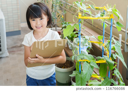 Elementary school students observing morning glories during summer vacation 116766086