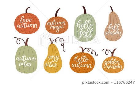 Simple pumpkin lettering set. Autumn set of hand drawn cute and cozy design elements. Fall, Pumpkin season.  116766247