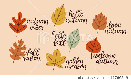 Simple leaf lettering set. Autumn set of hand drawn cute cozy design elements. Fall, Thanksgiving Day, Autumn season.  116766249