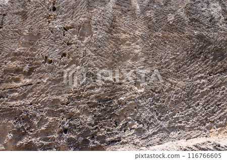 limestone texture with bright colors and details limestone texture with bright colors and details 116766605