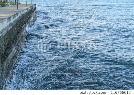 waves of the Mediterranean sea in Cyprus 1 waves of the Mediterranean sea in Cyprus 1 116766613