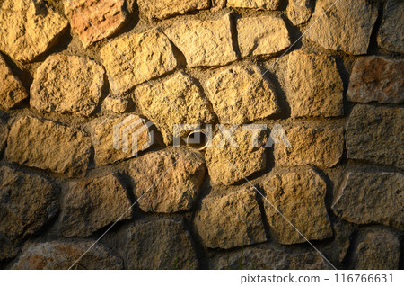 wall made of real stone as a background in the sun 2 wall made of real stone as a background in the sun 2 116766631
