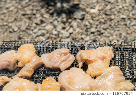[Solo camping at the auto campground Grilling white offal on a net]　 116767934