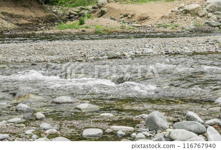 【初夏的多西河】 116767940