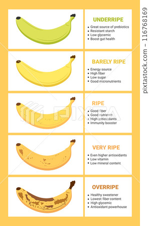 Banana ripeness chart. Stages of banana fruit ripeness with infographic. From green underripe banana to overripe banana with brown spots. Vector illustration 116768169