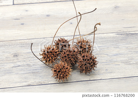 Fruit of Momigiba buffalo Fruit of Momigiba buffalo 116768200