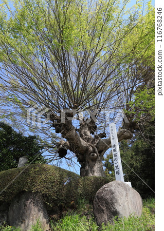 Milestone of Yokobori-juku 116768246