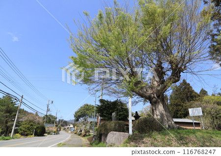 Milestone of Yokobori-juku 116768247