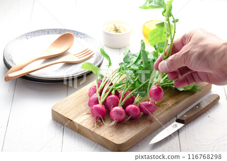 Fresh radish (daikon radish) Fresh radish (daikon radish) 116768298