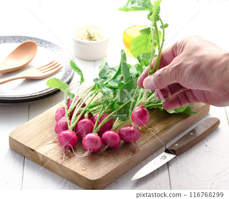 Fresh radish (daikon radish) Fresh radish (daikon radish) 116768299