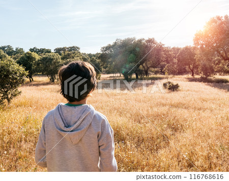 Young Boy in Meadow at Sunrise 116768616
