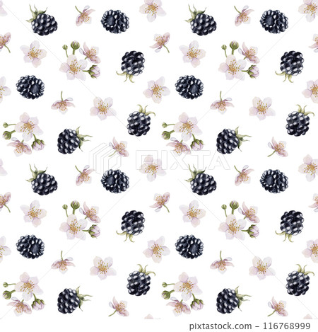 Blackberry, berries with flowers. Watercolor illustration, floral seamless pattern on white background with summer fruit bramble for table textile, summer fabrics, wrapping paper and food packages 116768999