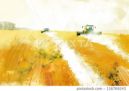 Scenery of harvesting golden wheat 116769243