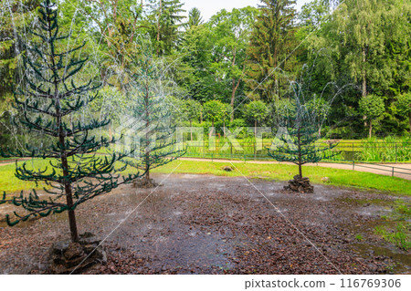 Fountains-crackers Fir trees in lower park of Peterhof in St. Petersburg, Russia 116769306