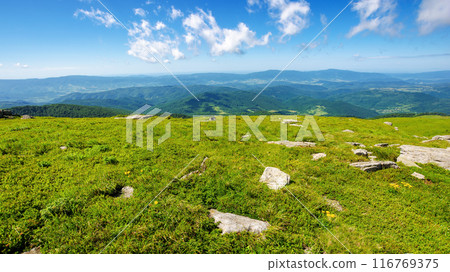 alpine meadow of mountain smooth in summer. sunny weather. carpathian mountain of ukraine. vacation season 116769375