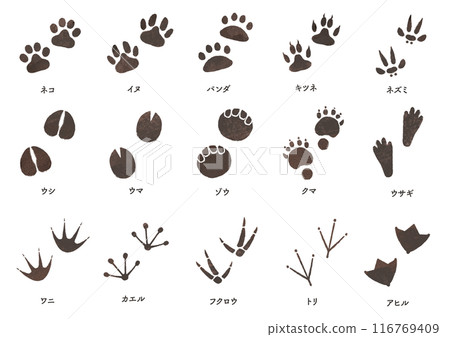 動物足跡集 116769409