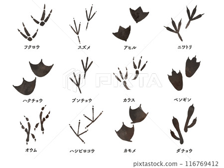 鳥足跡集 116769412