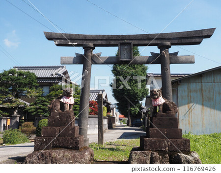 小神社的鳥居和守護犬（通往聖母的道路？） 116769426