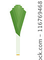 Leek. Fresh whole leek stem. Vegetable, ingredient, food, plant. Minimalist vector illustration, isolated on white. Clean and simple style.  116769468