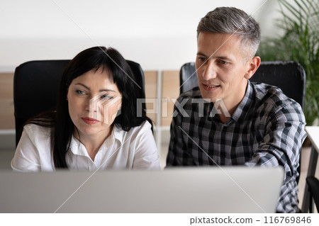 Two Colleagues Collaborating on a Project in Modern Office 116769846