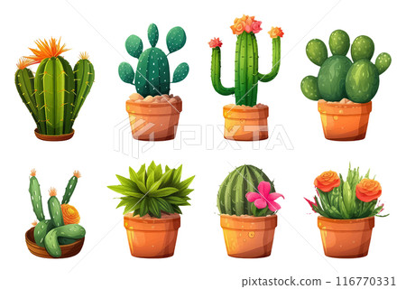 set cactus in pot cartoon style for video game isolated on white background set cactus in pot cartoon style for video game isolated on white background 116770331