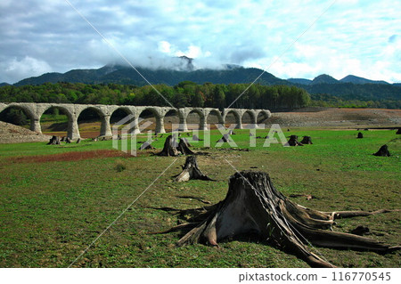 Taushubetsu Bridge in Autumn Taushubetsu Bridge in Autumn 116770545