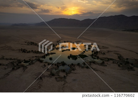 Seasonal lake in the middle of desert Seasonal lake in the middle of desert 116770602