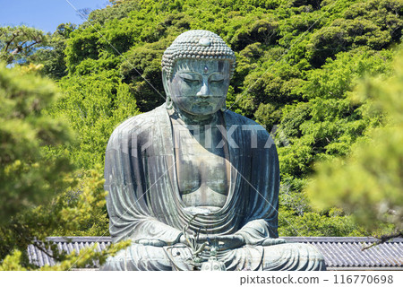 鎌倉大佛 116770698
