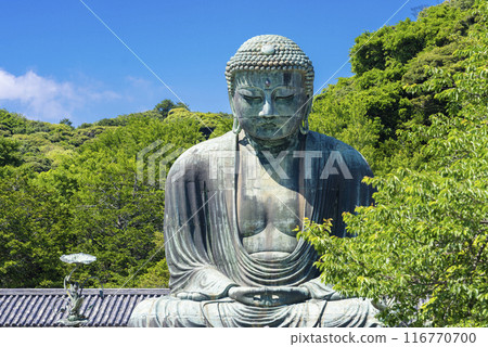 Kamakura Great Buddha Kamakura Great Buddha 116770700