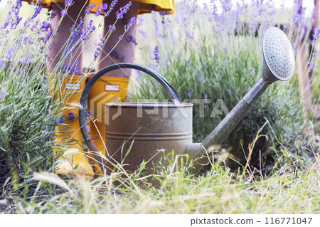 girl and watering can 116771047
