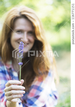 girl holding a bouquet of lavender girl holding a bouquet of lavender 116771151