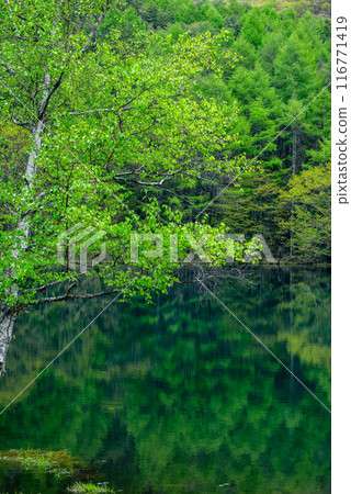 Mishaka Pond in early summer [Chino City] 116771419