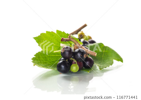 ripe blackcurrant berries with leaves on white background. 116771441